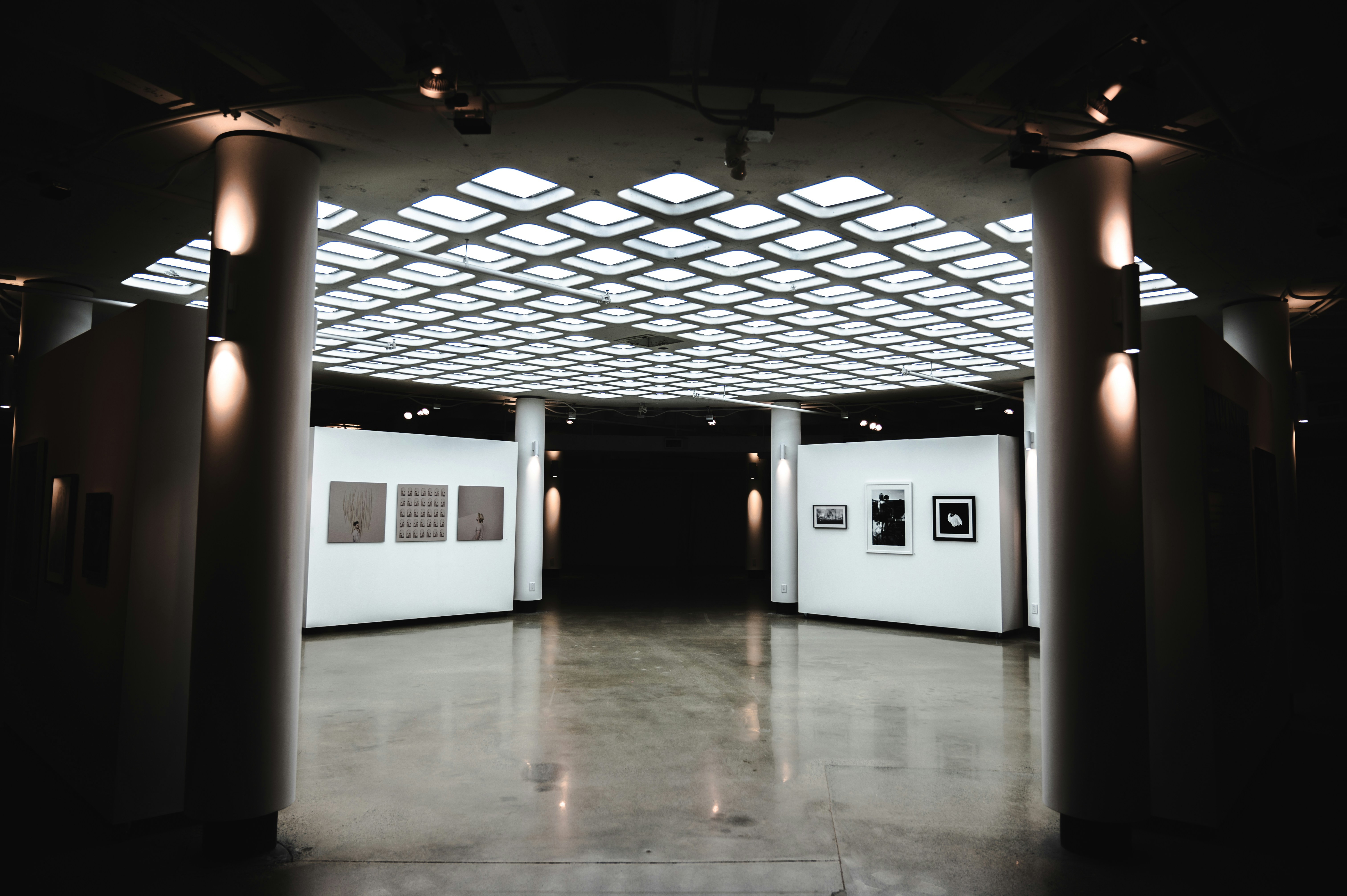 New Perspectives Exhibition